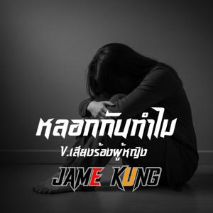 หลอกกันทำไม ( Version female vocals)