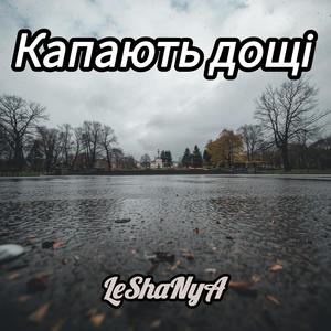 Капають дощі