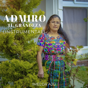 Oh Qué Inmenso Amor (Instrumental)
