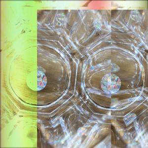 丝路（翻自 梁静茹）