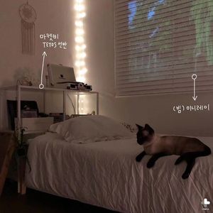 公主请开心 .mp3