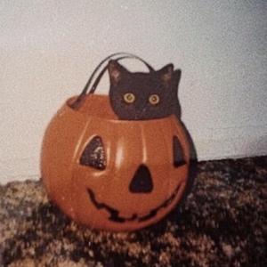 Not One Of Your Toys