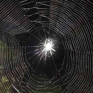 Pistol (Prod. by 9Zi)