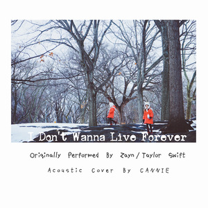 I Don't Wanna Live Forever (Acoustic 翻自  Zayn/Taylor Swift