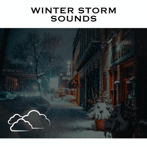 Heavy Snow Storm - No Fade