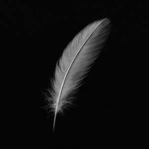 radiator (hissing in the dark)