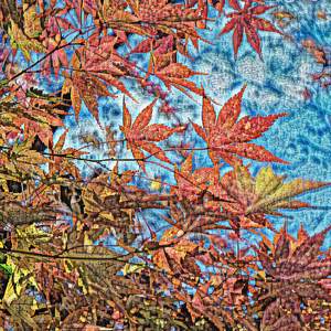 Through Your Station