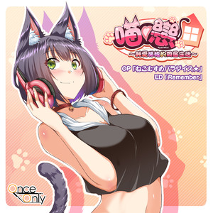 ねこむすめパラダイス