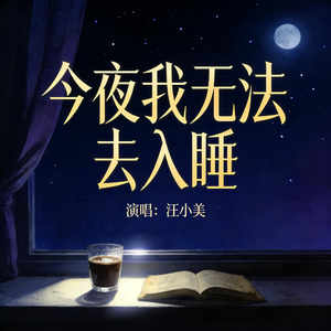 今夜我无法去入睡