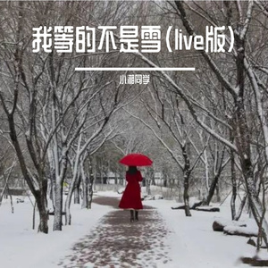 我等的不是雪