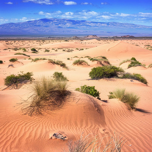 청보리밭 아래 우리