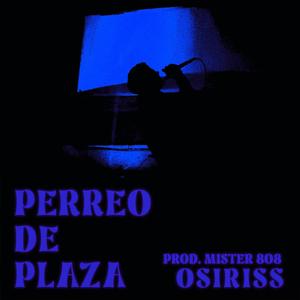 PERREO DE PLAZA (feat. Mister 808)