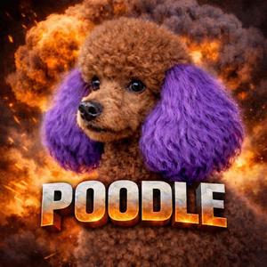 Poodle