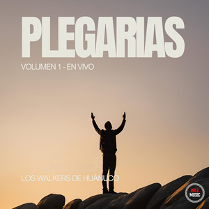 Parranda 5: Muñeca / El Solitario / Has De Ser Mi Mujer / Tonto Corazón