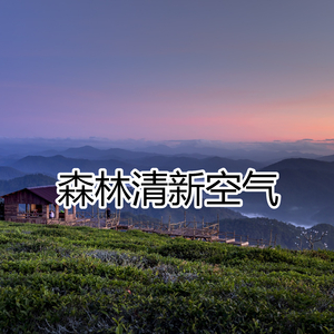 森林清新空气