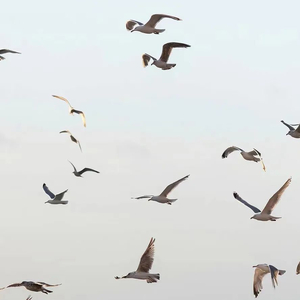 你的世界下雨，打湿我的眼睛