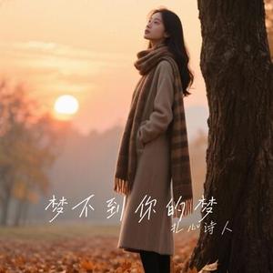 梦不到你的梦