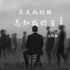 没走我的路怎知我的苦(烟嗓版)