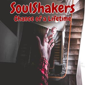 Chance of a Lifetime