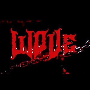 伤痕（你我没有缘分 可我对你的爱有）