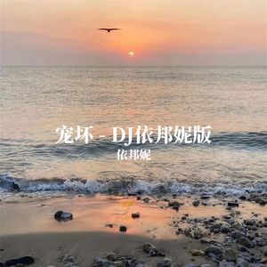 宠坏 (DJ版)