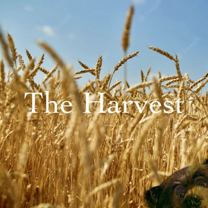 The Harvest