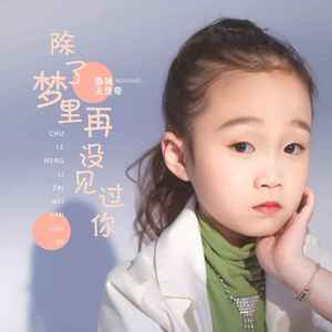 除了梦里再没见过你 (伴奏)