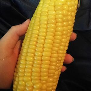 邱比（CHIU PI）-整夜大雨后（CDL超大陆 remix）