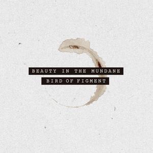 Beauty In The Mundane