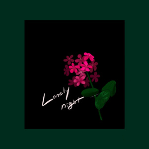 Lonely Night (Inst.)