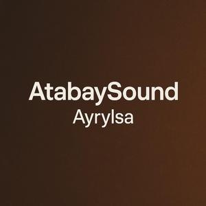 Ayrylsa2