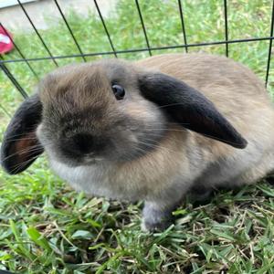 one more time before I leave