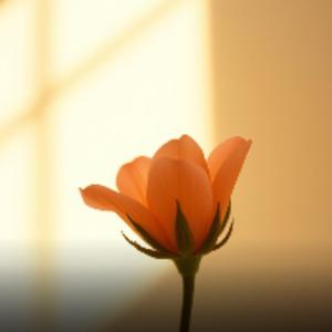 사실은 나도 힘들었어