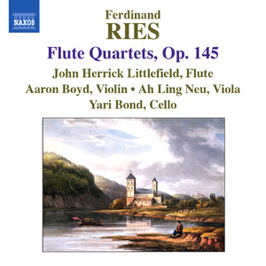 Flute Quartet in E Minor, Op. 145, No. 2:II. Andante