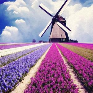 第一缕晨曦（助眠减压催眠曲）