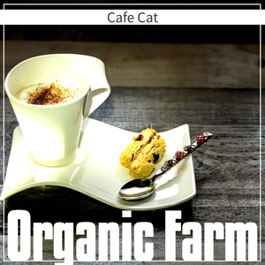 The Old Man Of The Sea