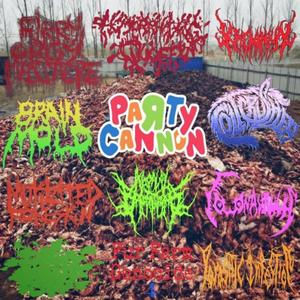 Decaying Discard (Anal Electrocution Execution/Fur Farm Genocide)