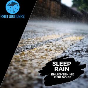 Strange Insects & Birds