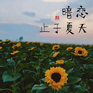 暗恋，止于夏天