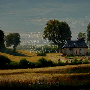 Purrfect Pounce Party