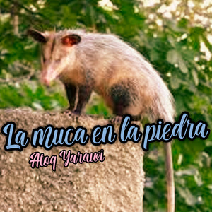 La Muca en la Piedra