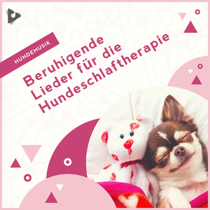 Beruhigende Musik am Meer