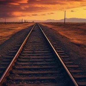 释怀是人生的必修课