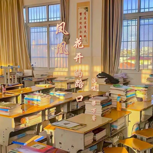 凤凰花开的路口