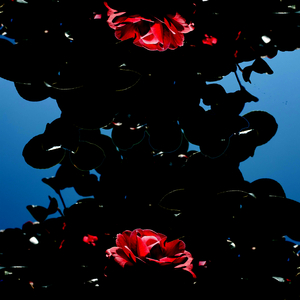 Universal In Los Angeles