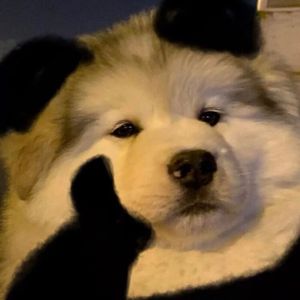 你说你担心的是我现场版