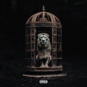 ASLAN YAKIŞMAZ KAFESTE