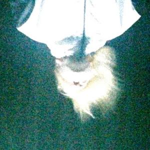 Lucifer Promised Me The Fall Won’t Hurt