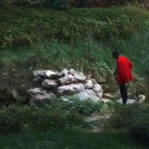 Ormanımda Kaybolunca