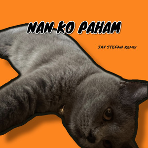 DJ SU JAUH SA TANAM TAPI TRA ADA HASIL - NAN KO PAHAM JAY STEFAN